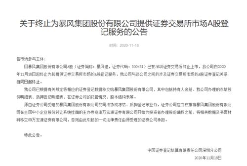 暴風(fēng)集團A股登記服務(wù)終止 深交所審核制度的合規(guī)性審視